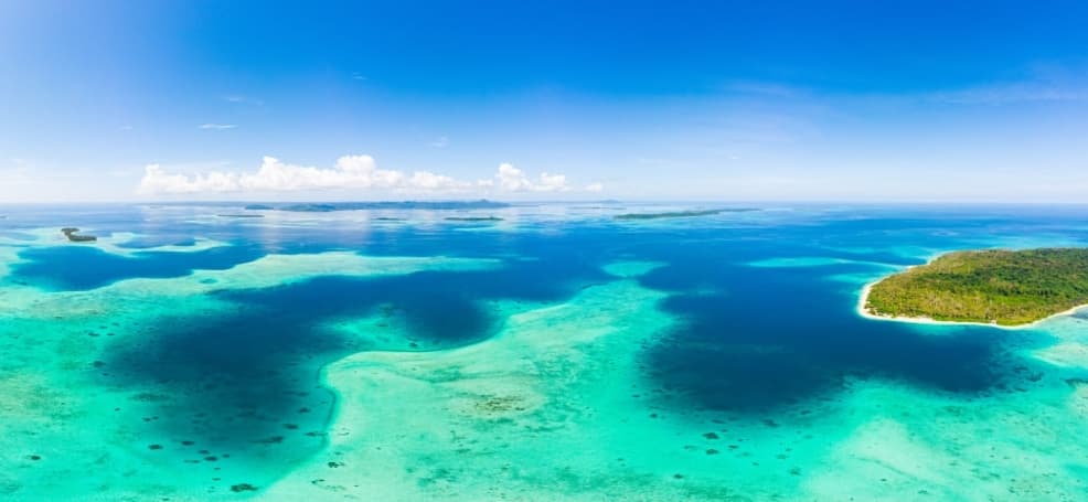 穿透深蓝：水下无人机（ROV）在珊瑚礁三维测绘中的应用