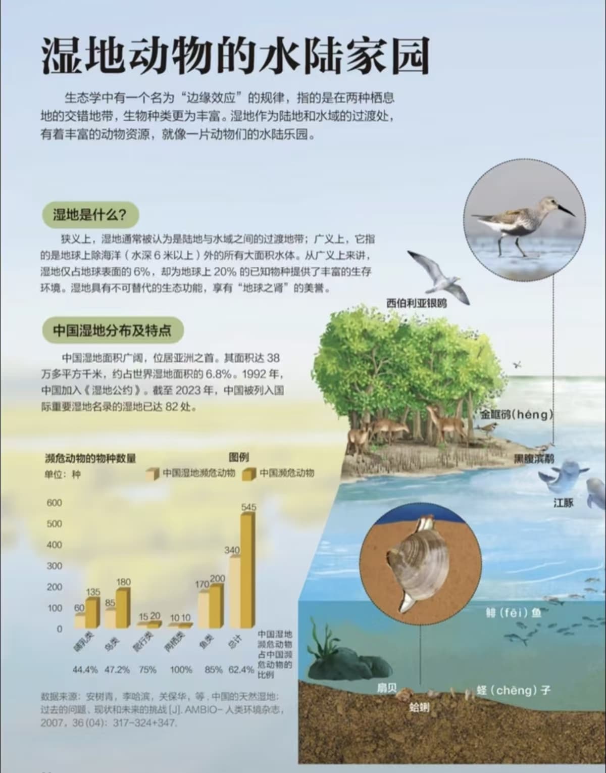 湿地
