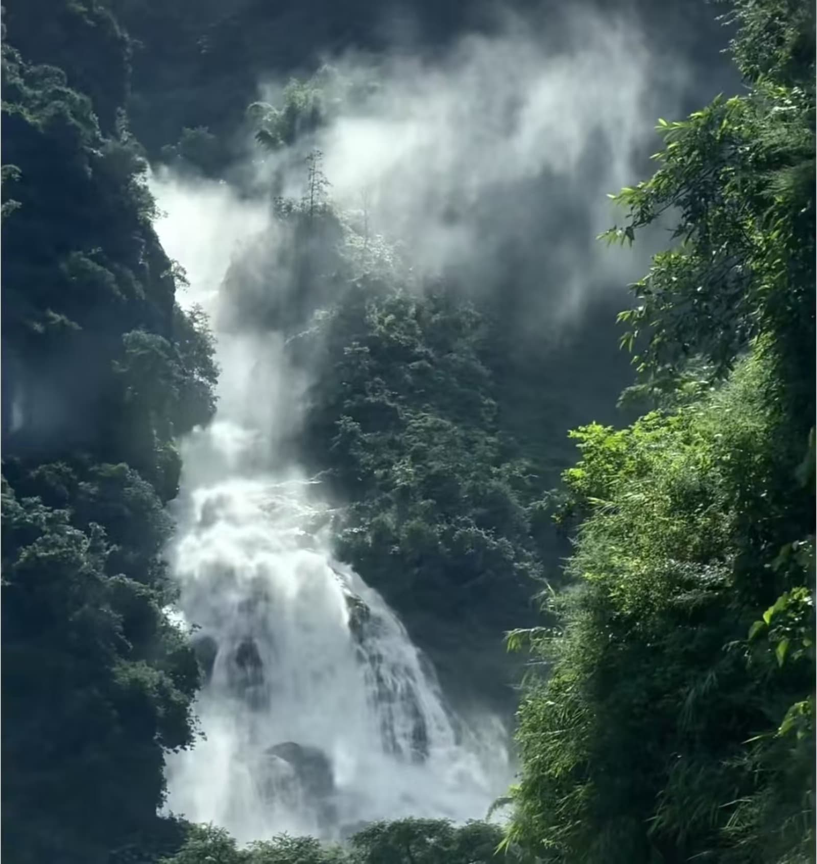 哀牢山国家级自然保护区