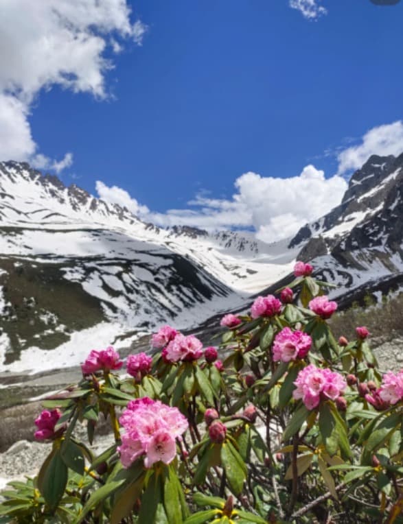 白马雪山国家级自然保护区