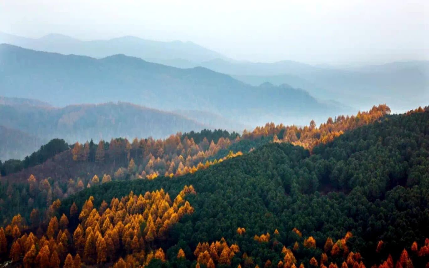 东北虎豹国家公园