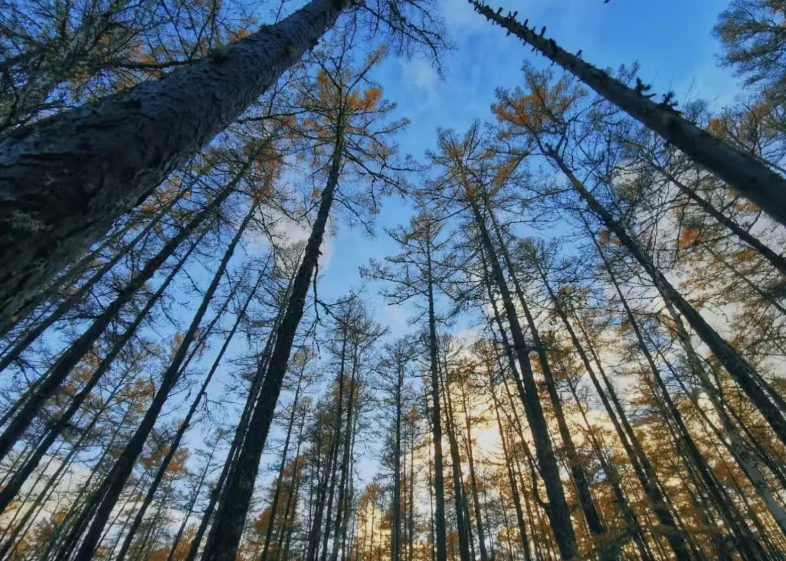 汗马国家级自然保护区