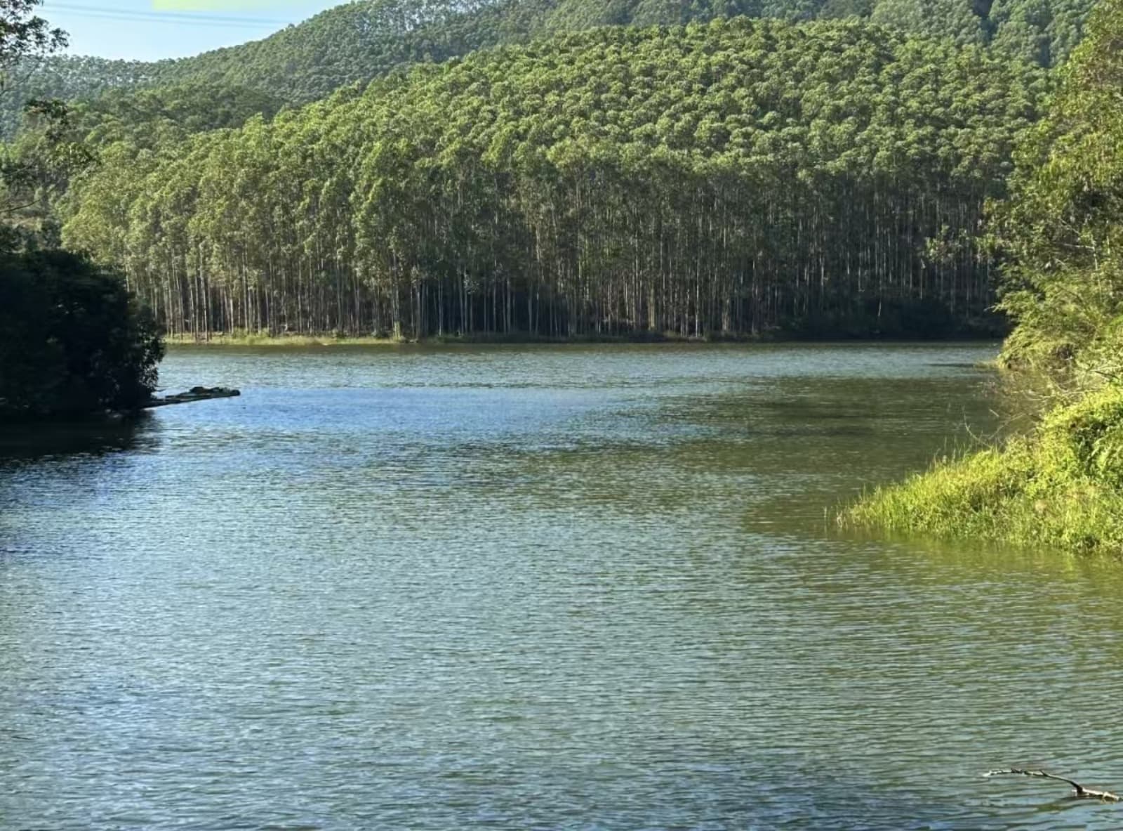 合浦儒艮国家级自然保护区