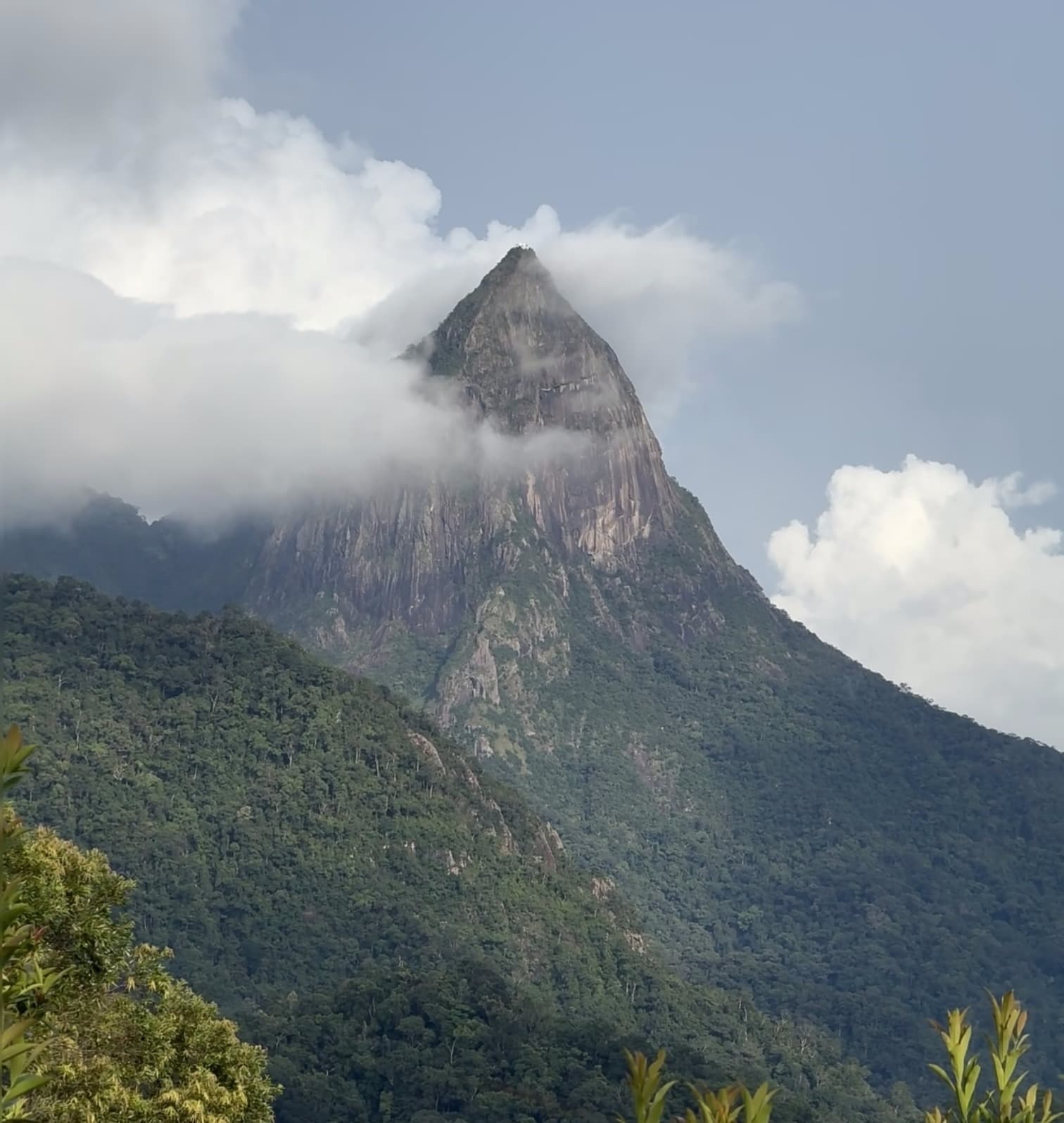 尖峰岭国家级自然保护区