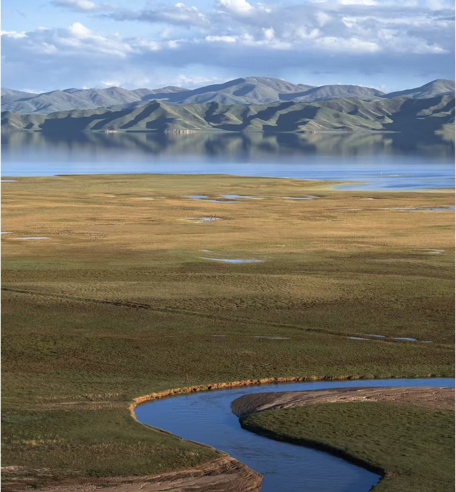 罗布泊野骆驼国家级自然保护区