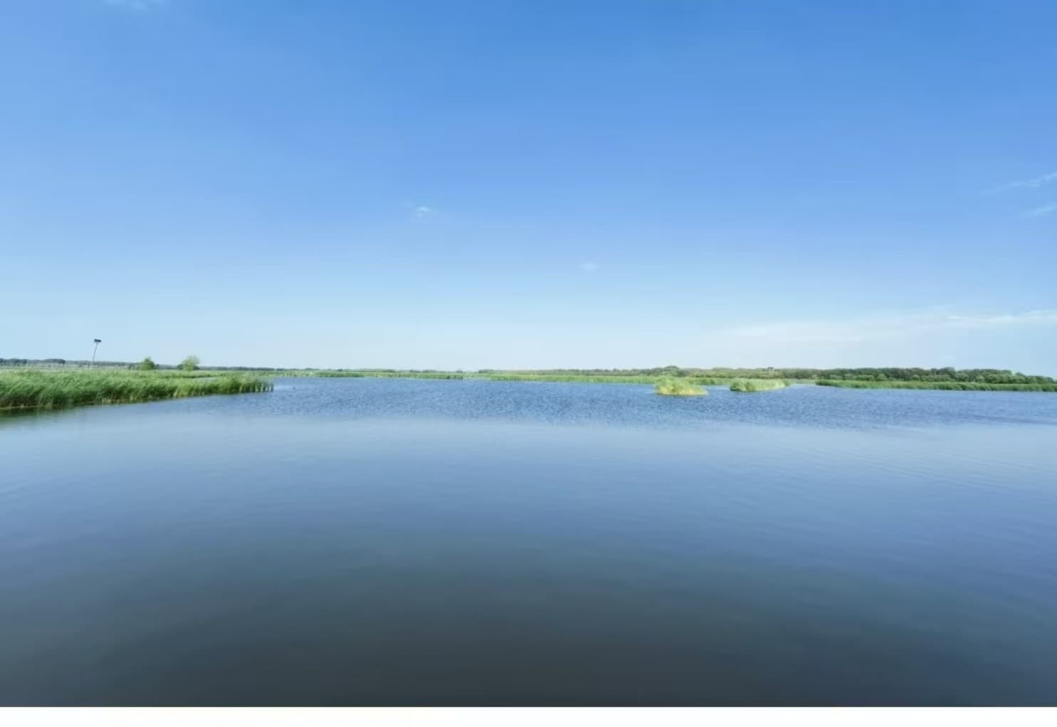 莫莫格国家级自然保护区