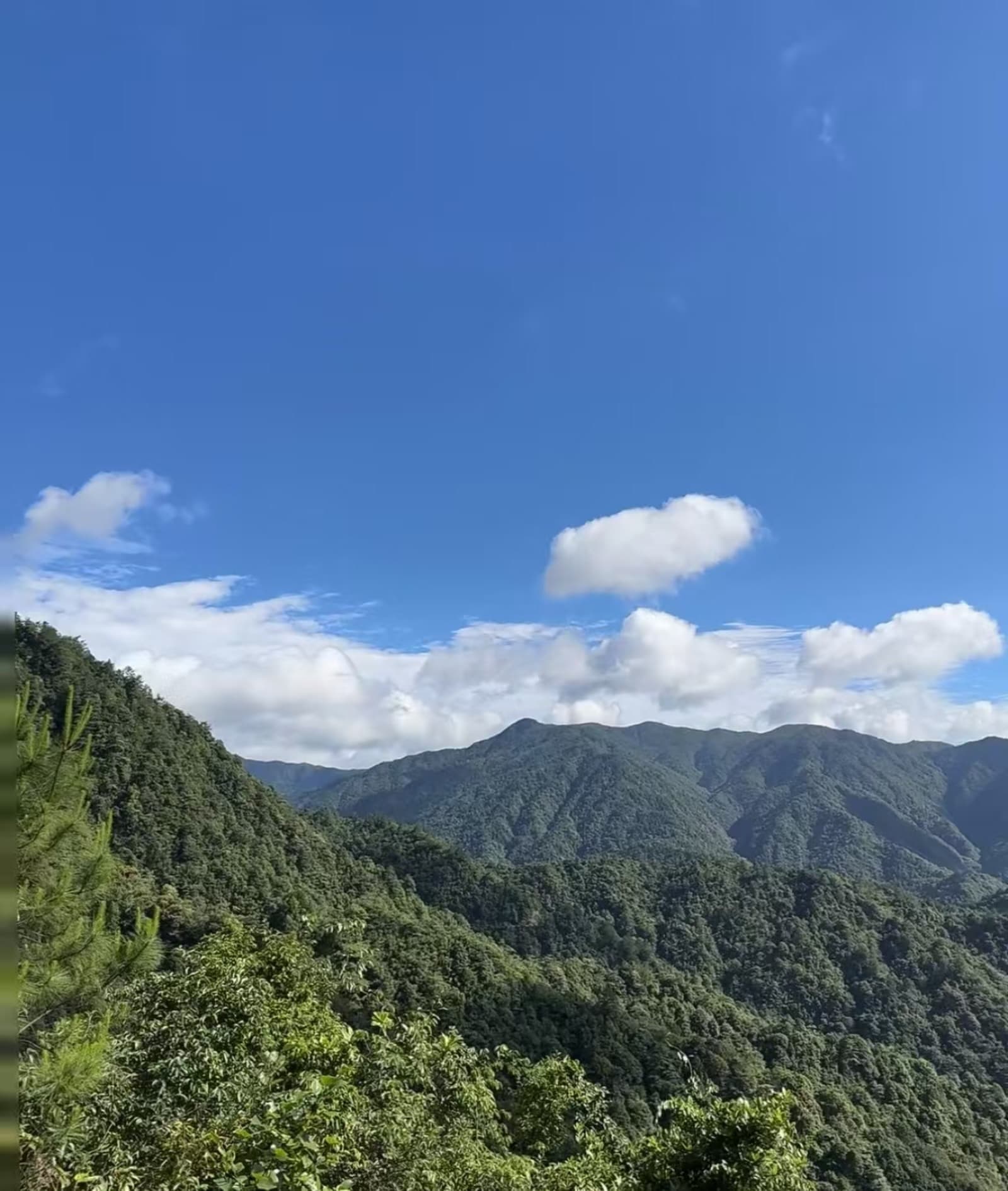 南岭国家级自然保护区