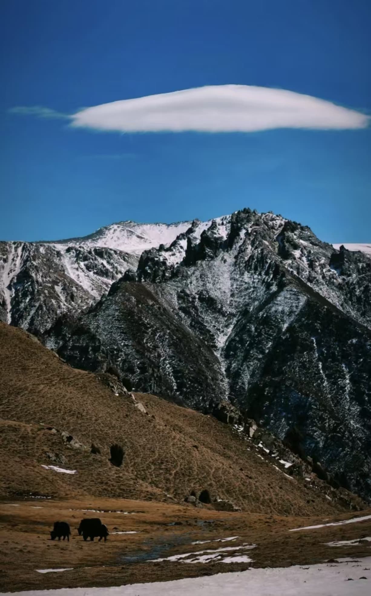 祁连山国家公园