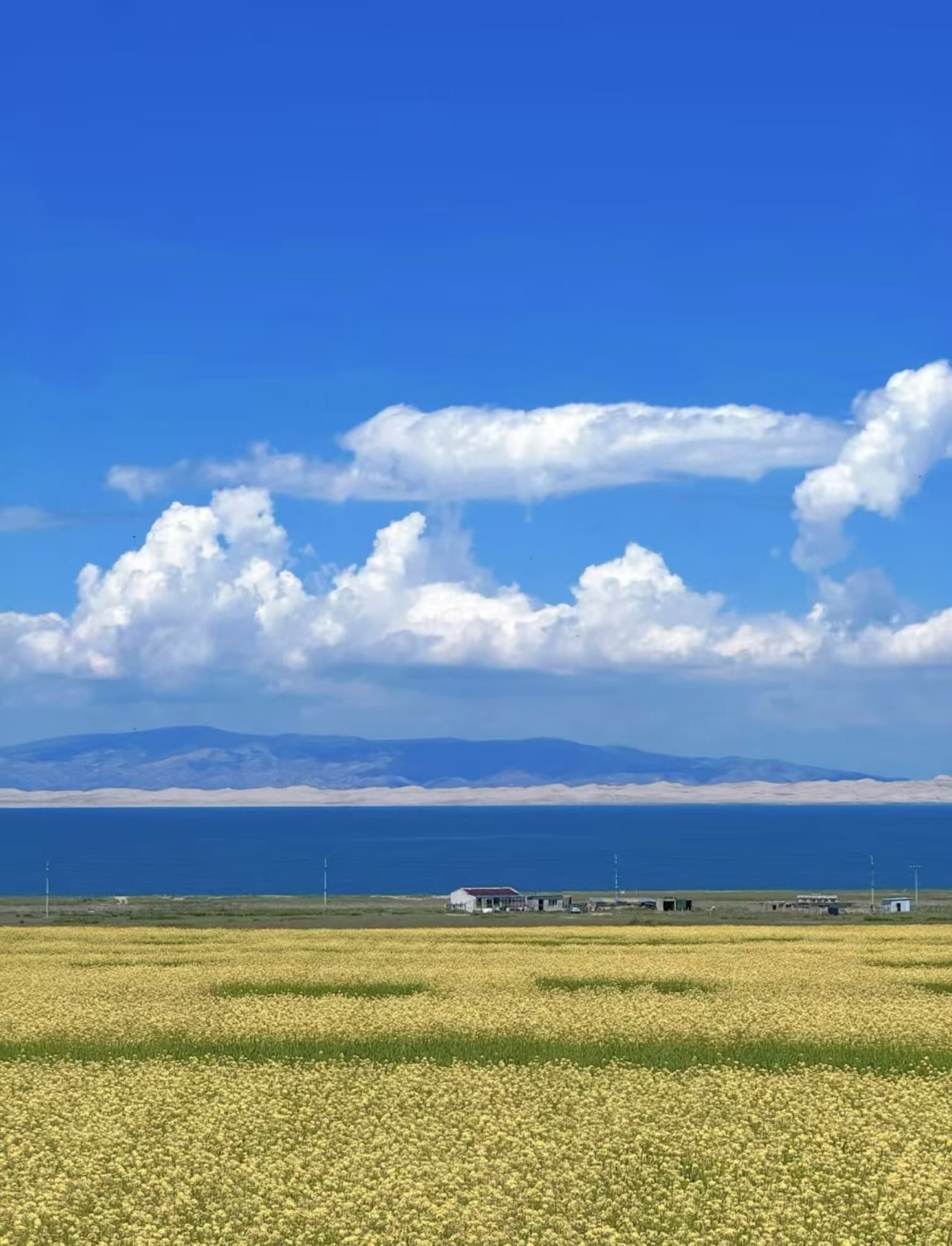 青海湖国家级自然保护区