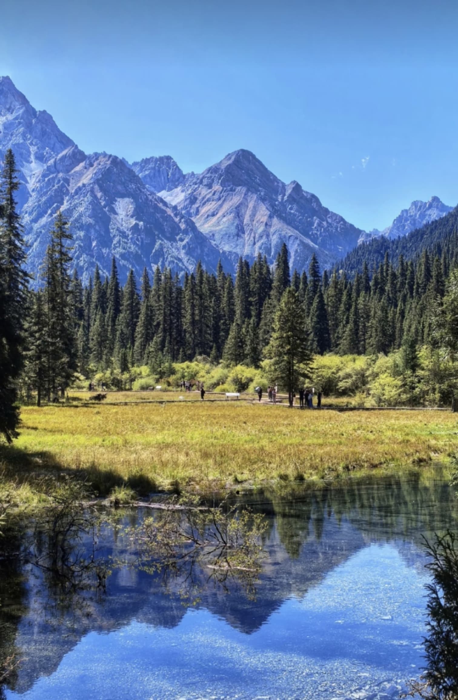 王朗国家级自然保护区