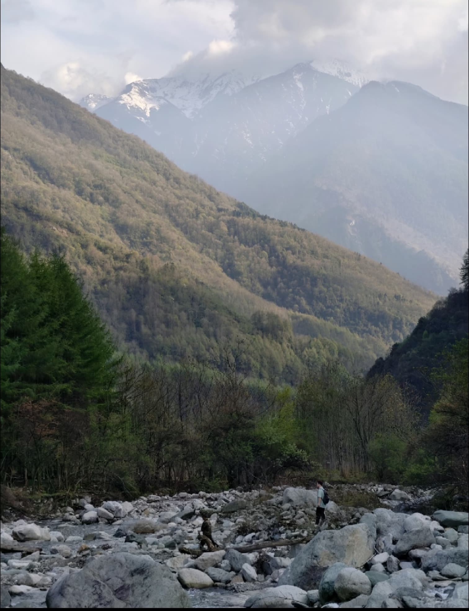 卧龙国家级自然保护区