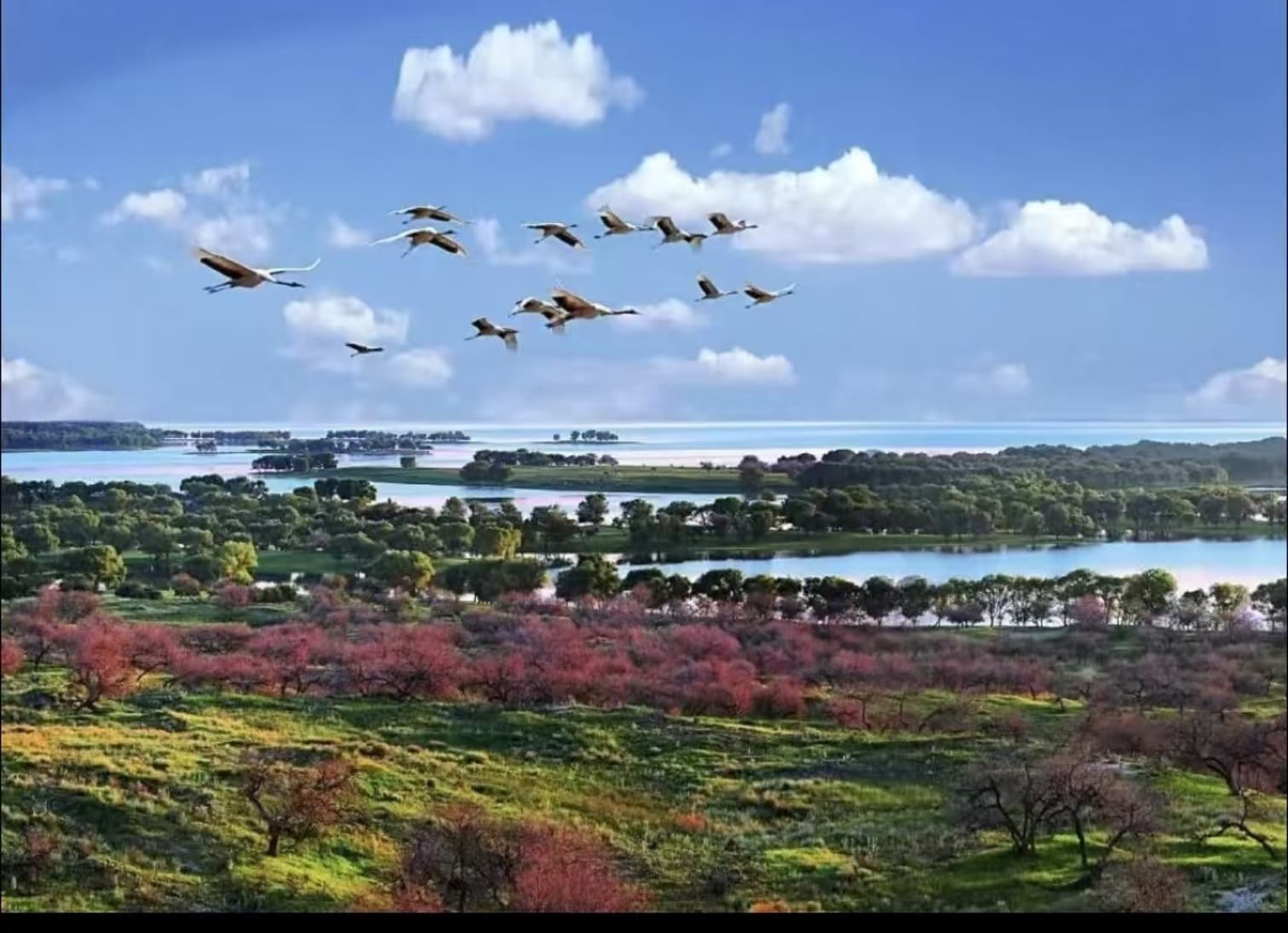 向海国家级自然保护区