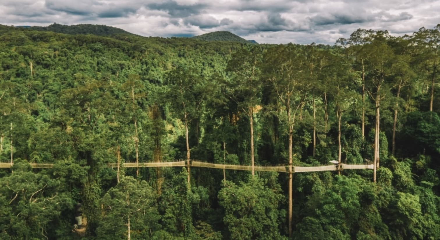 西双版纳国家级自然保护区