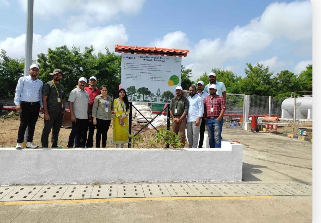 如何真正“种”出一个森林:打破单一树种造林的生态学困境 配图 1