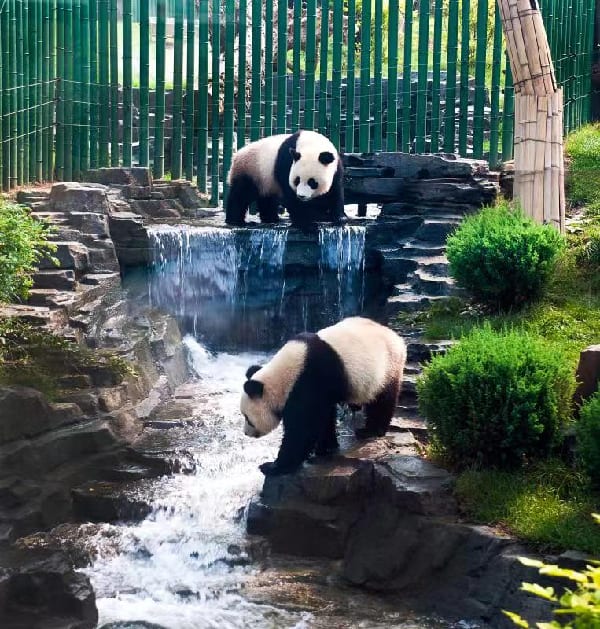 大连森林动物园代表动物或园区环境图