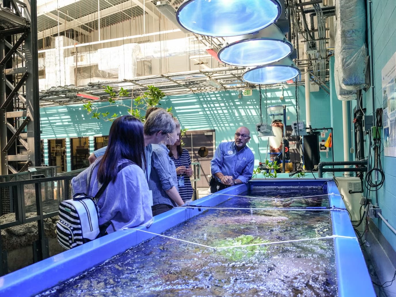 乔治亚水族馆代表动物或园区环境图