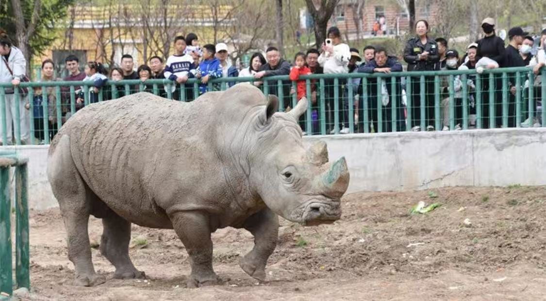 哈尔滨北方森林动物园代表动物或园区环境图