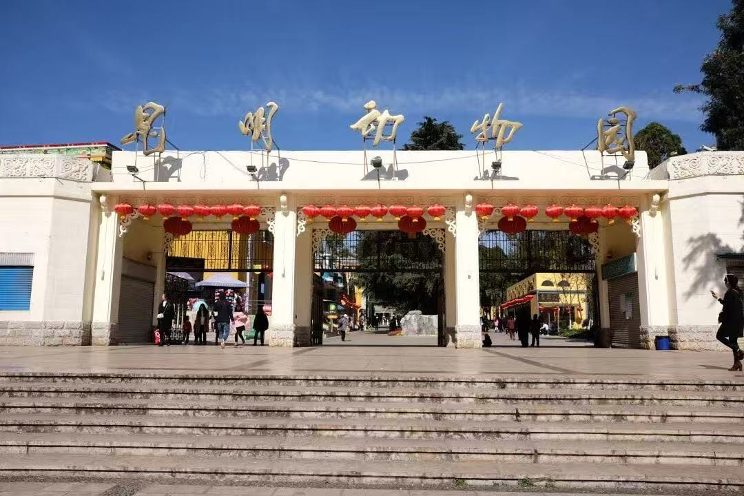 昆明动物园现场图片