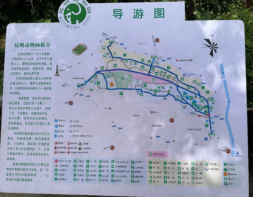 昆明动物园导览图
