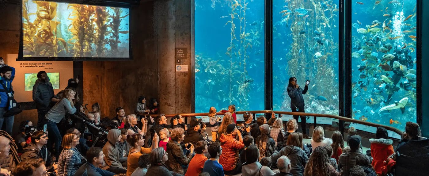 蒙特雷湾水族馆代表动物或园区环境图