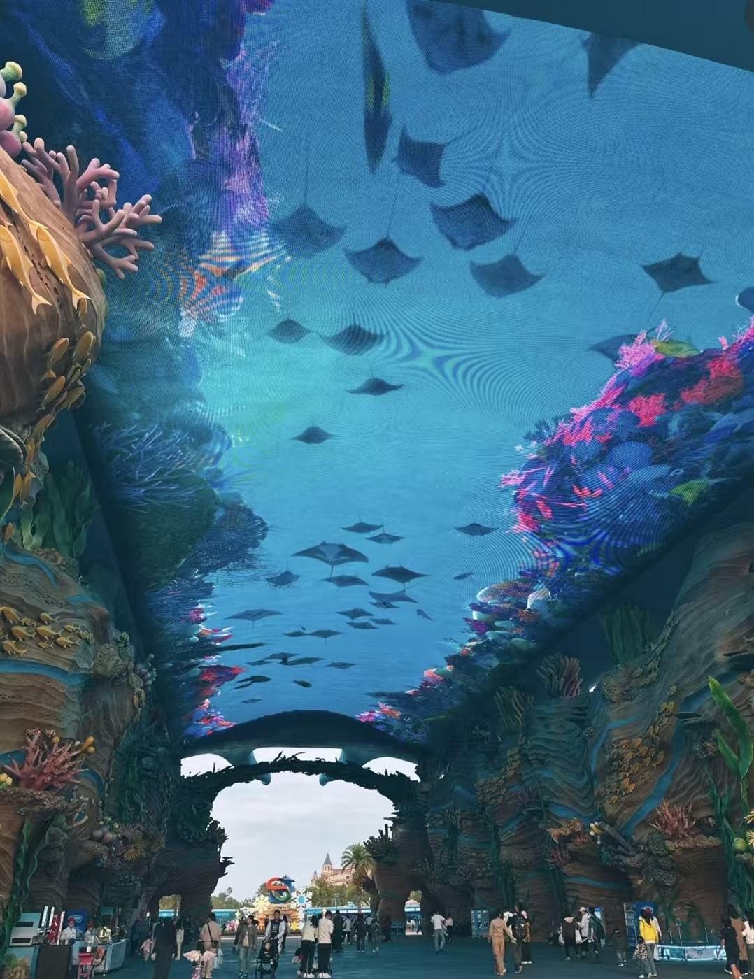 珠海长隆海洋王国代表动物或园区环境图