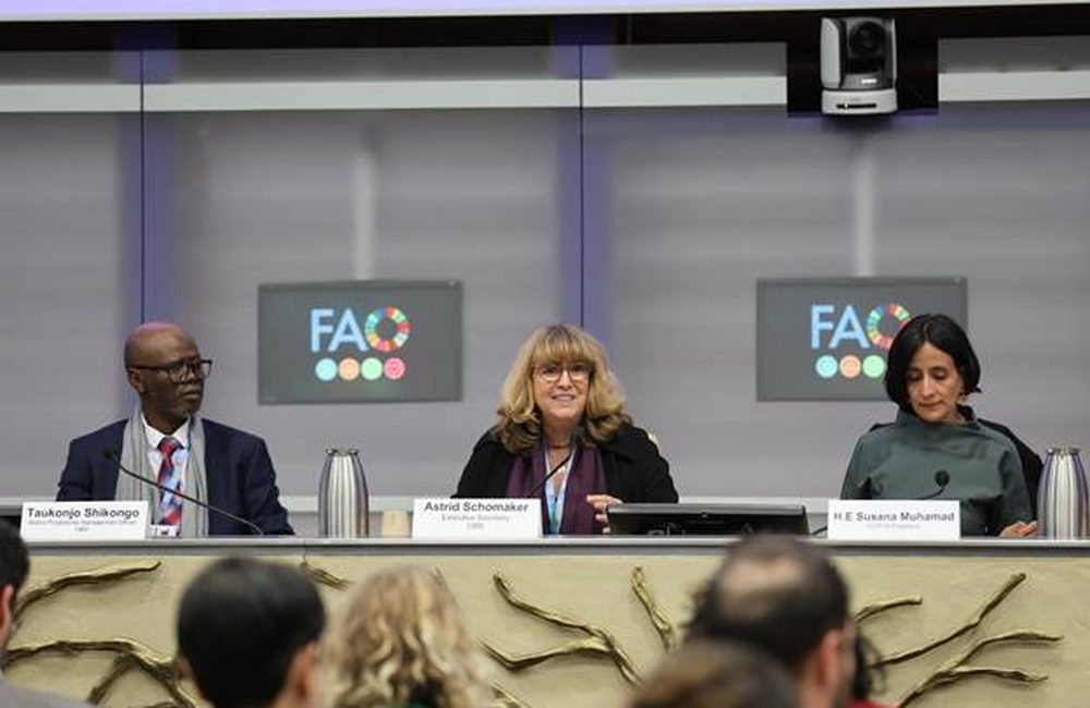 自然基因数据终于要“回馈自然”:Cali Fund为何值得关注