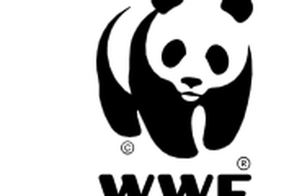 73%的下降:2024地球生命力报告给出的警告